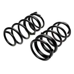  Raybestos 587 1138 Professional Grade Coil Spring Set 