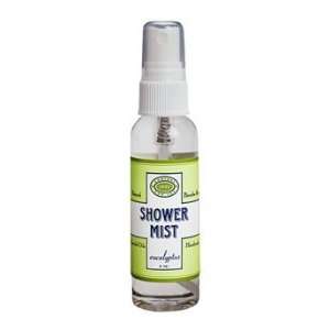  Eucalyptus Shower Mist Beauty