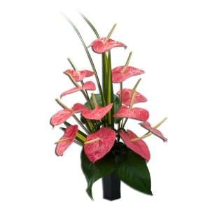  Hawaiian Flowers Dozen Deluxe Pink Anthurium: Patio, Lawn 
