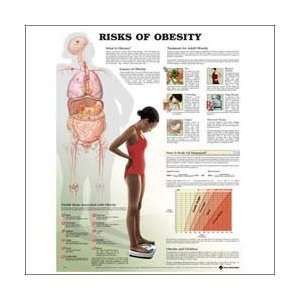 Risks of Obesity Anatomical Chart 20 X 26  Industrial 