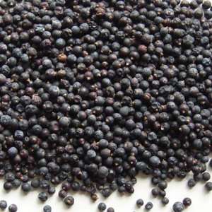    Juniper Berries   4 ounce Juniperus communis 