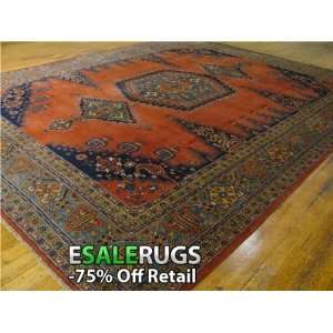 10 7 x 13 4 Viss Hand Knotted Persian rug:  Home 
