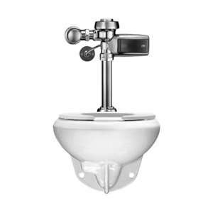   WETS 2050.1302 Wall Hung Elongated toilet fixture w/Royal 111 1.28 HWS