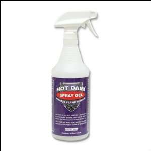  ASP 9025 NA Hot Dam Spray Gel 9025: Home Improvement