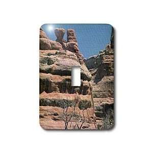 Sandy Mertens Utah   Grand Gulch in Natural Bridges Monument Canvas 