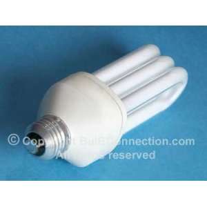  Philips SLS 25 ALTO (13574 9) Lamp Bulb Replacement: Home 