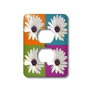 Taiche   Photography   Pop Art   African Daisy Collage   daisy, south 