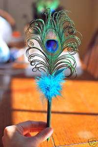Peacock feather pen – gorgeous wedding guest book pen!  