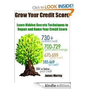 Grow Your Credit Score: Learn Hidden Secret Techniques to Repair and 