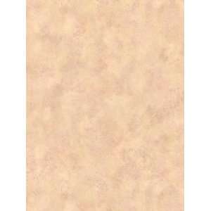   Wallpaper Brewster Mirage traditions III 968 41612: Home Improvement