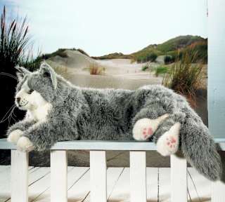 Kösener Maine Coon Kater Katze grau weiß 74 cm Kösen  