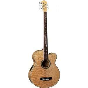   String Fretless Acoustic Electric Bass (Black): Musical Instruments