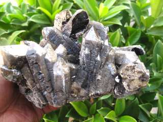 05lb NATURAL Shangri la Quartz Crystal Cluster AWESOME FORM  