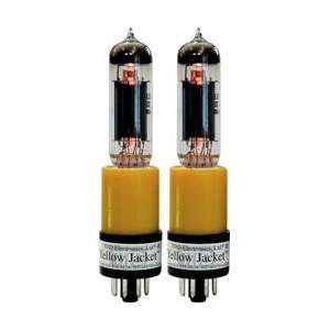   YJ20D Yellow Jacket for 6V6 Amps, Duet, w/Tubes: Musical Instruments