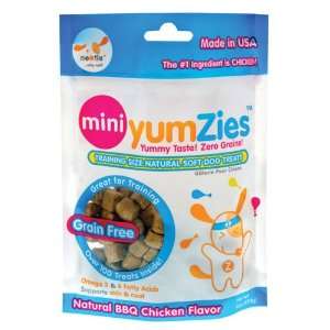    Mini Yumzies   6 ounce BBQ Chicken Flavor: Health & Personal Care