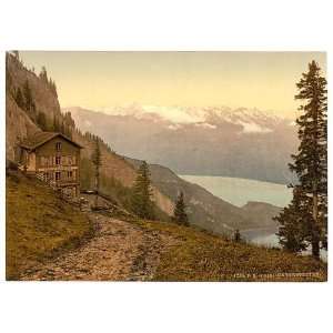  Photochrom Reprint of Unterstetten, Rigi, Switzerland 