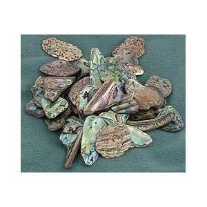  Tumbled Stones   Paua Shell Beauty