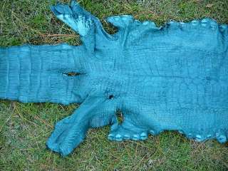 Gator ALLIGATOR belly taxidermy rug skin mount TEAL WOW  