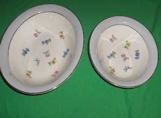 12 Dinner Plates 10 1/8” (2 plates have small chips under rims and a 