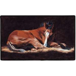  FOAL DOORMAT Patio, Lawn & Garden