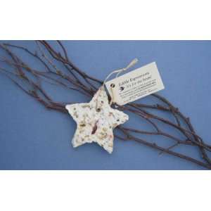  New Cast Paper Art Edible Ornament Star Recycled Cotton 