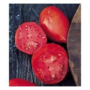   Paste Tomato 48 Plants   Thick Flesh, Few Seeds Patio, Lawn & Garden