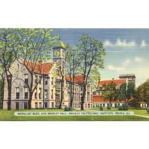  1940s Vintage Postcard Horology Building and Bradley Hall 