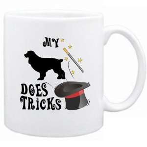  New  My Boykin Spaniel Does Tricks !  Mug Dog: Home 