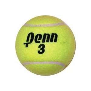 Penn Championship Extra Duty Tennis Balls   Can:  Sports 
