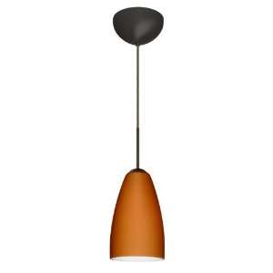   Single Light Compact Fluorescent Pendant with Bron