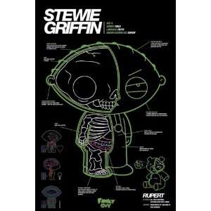  Family Guy   TV Show Poster (Stewie Griffin   X Ray) (Size 