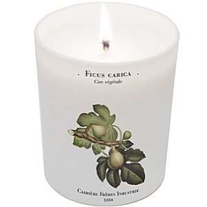  Carriere Freres   Ficus Carica (Fig Tree) Candle