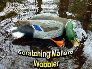 Scratching Mallard Duck Decoy Motion Mallard Duck Decoy  