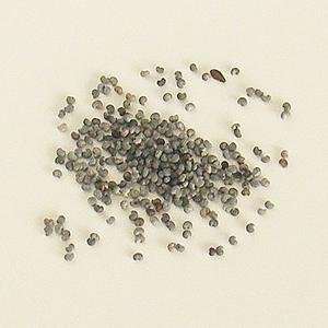 Poppy Seeds (3 One Pound Bags):  Grocery & Gourmet Food