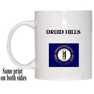  US State Flag   DRUID HILLS, Kentucky (KY) Mug: Everything 