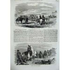   1855 Horses Carrying Wounded People Balaclava War Army: Home & Kitchen