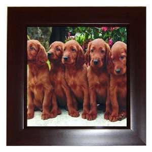  Irish Setter Puppy Dog 2 Framed Tile G0695: Everything 