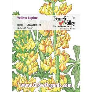  Lupine Seed Pack, Yellow Patio, Lawn & Garden