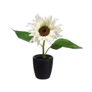 Mini Sunflower in Ceramic Pot Cream (Pack of 12) 