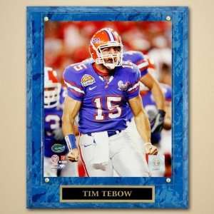 Florida Gators #15 Tim Tebow 2006 National Championship Game 