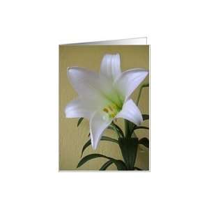 Easter Lily Ten Card