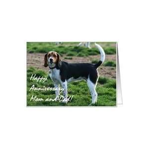 Happy Anniversary Mom and Dad Beagle Card