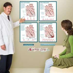  Circulatory and Heart Disorders Sticky Anatomy Wall Chart 