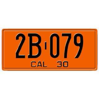   STATE PLATE   EMBOSSED WITH YOUR CUSTOM NUMBER