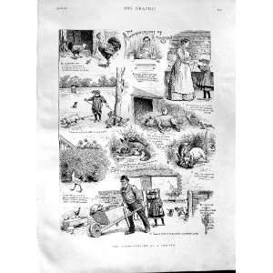    1891 Autobiography Chicken Farmyard Pigs Fox Farmer