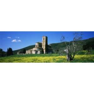  Monastery in a Field, San Antimo Monastery, Tuscany, Italy 
