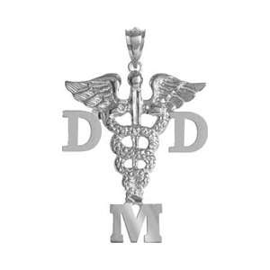 NursingPin   Doctor of Dental Medicine DMD Charm in Silver 