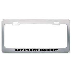 Got Pygmy Rabbit? Animals Pets Metal License Plate Frame Holder Border 