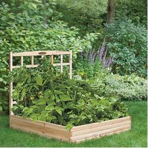   48 x 48 Inch Wood Raised Garden Bed with Trellis Patio, Lawn & Garden