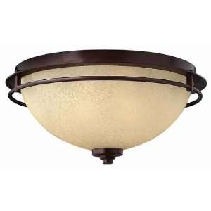 Hinkley 4721MC Flush 2 Light Bath Light: Home & Kitchen